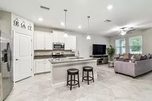 6745 Citrus Creek Ln, Tampa, FL 33625 - Photo 5