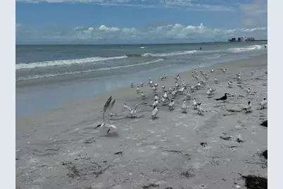 4103 Gulf Boulevard #104, Saint Pete Beach, FL 33706 - Photo 21