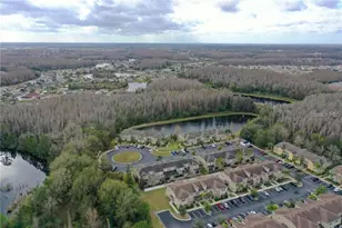 31142 Flannery Ct, Wesley Chapel, FL 33543 - Photo 17