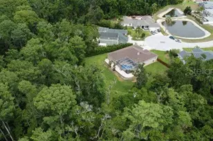 10305 Worthy Lamb Way, New Port Richey, FL 34654 - Photo 39