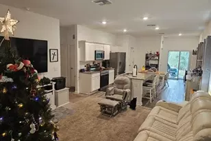 10607 Ladybug Cv, Parrish, FL 34219 - Photo 21