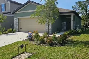 10607 Ladybug Cv, Parrish, FL 34219 - Photo 1