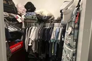 10607 Ladybug Cv, Parrish, FL 34219 - Photo 13