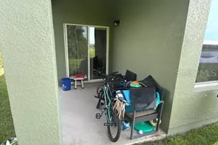 10607 Ladybug Cv, Parrish, FL 34219 - Photo 9