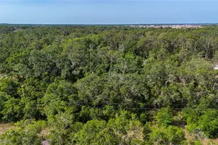 Butch Cassidy Trail, Wimauma, FL 33598 - Photo 1