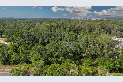 Butch Cassidy Trail, Wimauma, FL 33598 - Photo 3