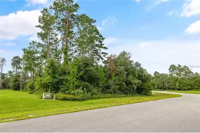 13615 Gopher Pond Ct, Hudson, FL 34669 - Photo 1