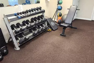 19420 Haskell Pl, Land O Lakes, FL 34638 - Photo 29