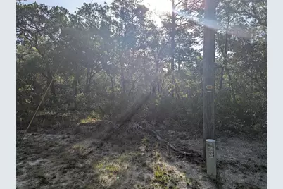 19036 Retriever Road, Brooksville, FL 34614 - Photo 1