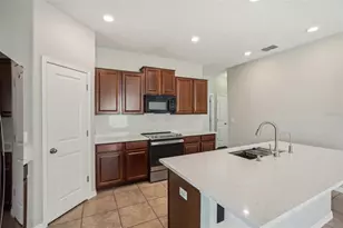 10326 Boggy Moss Dr, Riverview, FL 33578 - Photo 11