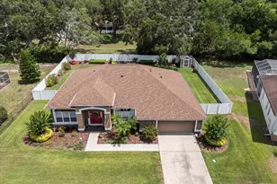 3041 Colonial Ridge Dr, Brandon, FL 33511 - Photo 3