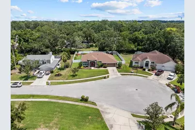 3041 Colonial Ridge Drive, Brandon, FL 33511 - Photo 61