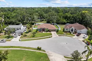 3041 Colonial Ridge Dr, Brandon, FL 33511 - Photo 61