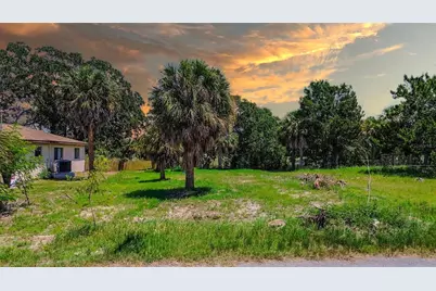 0 Sea Grape Drive #Lot 10, Hernando Beach, FL 34607 - Photo 11