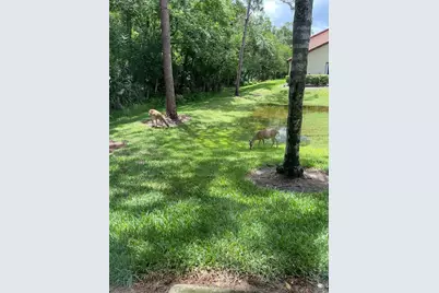 1801 E Lake Road #3A, Palm Harbor, FL 34685 - Photo 35