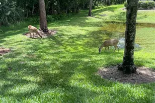 1801 E Lake Rd, Palm Harbor, FL 34685 - Photo 35