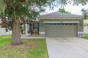 17843 Cunningham Ct, Land O Lakes, FL 34638 - Photo 1