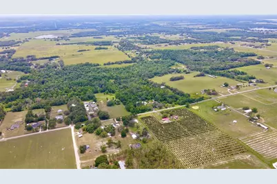 14409 Curley Road, Dade City, FL 33525 - Photo 3