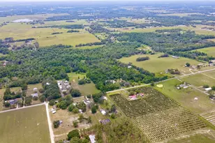 14409 Curley Rd, Dade City, FL 33525 - Photo 3