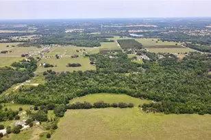 14409 Curley Rd, Dade City, FL 33525 - Photo 7