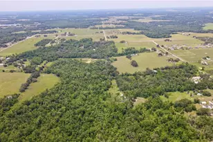 14409 Curley Rd, Dade City, FL 33525 - Photo 5