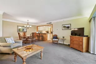 36750 US 19 N, Palm Harbor, FL 34684 - Photo 11