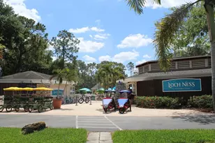 36750 US 19 N, Palm Harbor, FL 34684 - Photo 65