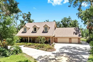 1141 Myrtle Rd, Valrico, FL 33596 - Photo 93