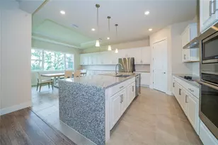 8834 Sanders Tree Loop, Wesley Chapel, FL 33545 - Photo 9