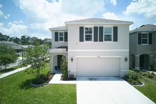 10826 Trailing Vine Dr, Tampa, FL 33610 - Photo 53