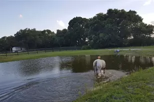 439 Corbett Rd, Lithia, FL 33547 - Photo 27