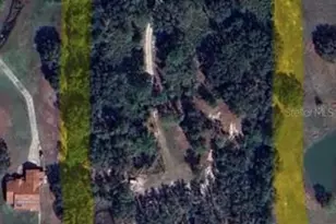 7152 Sandy Ln, Wesley Chapel, FL 33544 - Photo 37