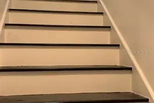 7152 Sandy Ln, Wesley Chapel, FL 33544 - Photo 15