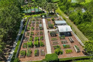 16227 Cape Coral Dr, Wimauma, FL 33598 - Photo 69