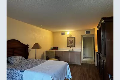 29129 Bay Hollow Drive #3205, Wesley Chapel, FL 33543 - Photo 3