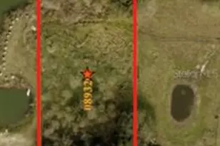 4316 E Knights Griffin Rd, Plant City, FL 33565 - Photo 5