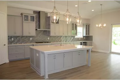 35335 Big Hawk Drive, Zephyrhills, FL 33541 - Photo 5