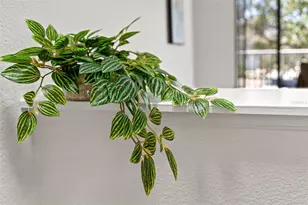 616 Garland Cir, Indian Rocks Beach, FL 33785 - Photo 9