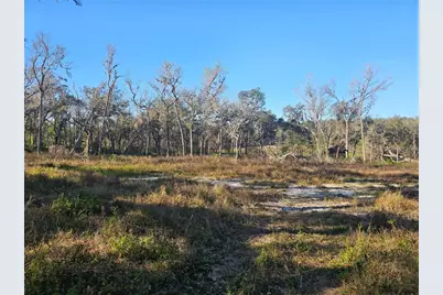 359 Savannah Oaks Drive, Brooksville, FL 34602 - Photo 5