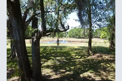 22839 Bungalow Lane, Land O Lakes, FL 34639 - Photo 13