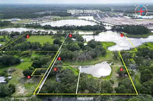 22839 Bungalow Ln, Land O Lakes, FL 34639 - Photo 1
