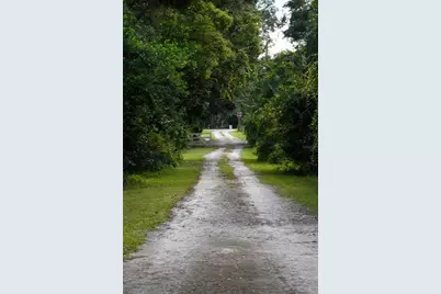 22839 Bungalow Lane, Land O Lakes, FL 34639 - Photo 9