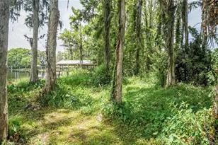 10818 Land O' Lakes Blvd, Land O Lakes, FL 34638 - Photo 25