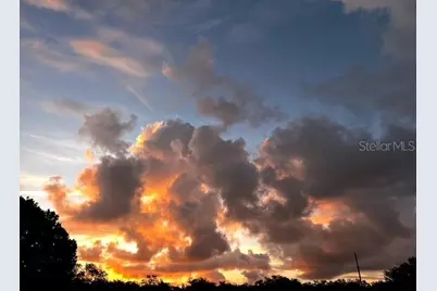 7705 Gardner Road, Tampa, FL 33625 - Photo 45