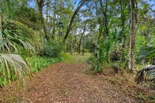 15012 N 301 Hwy, Thonotosassa, FL 33592 - Photo 27