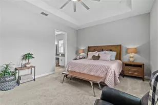 31921 Magna Gulf Loop, San Antonio, FL 33576 - Photo 35