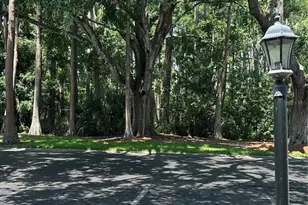 13709 Juniper Blossom Dr, Tampa, FL 33618 - Photo 11