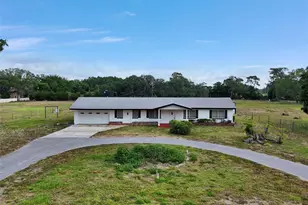 3741 Keystone Rd, Tarpon Springs, FL 34688 - Photo 7