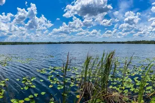 2292 SE 170th Avenue Rd, Silver Springs, FL 34488 - Photo 13