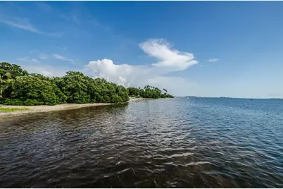 394 Georgia Avenue, Crystal Beach, FL 34681 - Photo 49